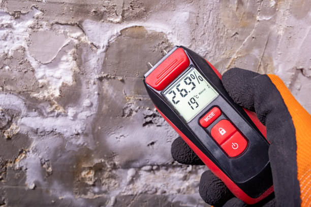 Best Residential Mold Remediation in Troy, IL
