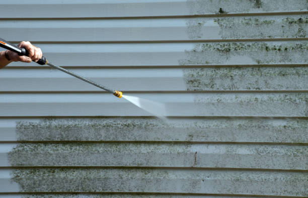 Best Mold Remediation for Specific Building Types in Troy, IL