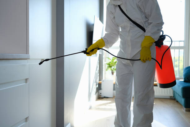 Best Residential Mold Remediation in Troy, IL