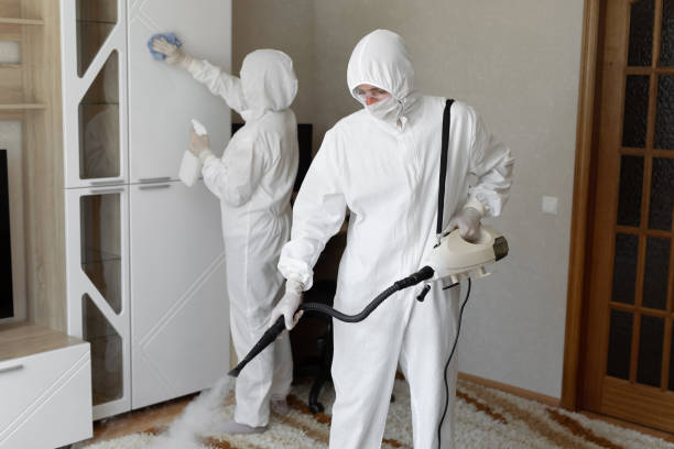 Professional Mold Remediation in Troy, IL